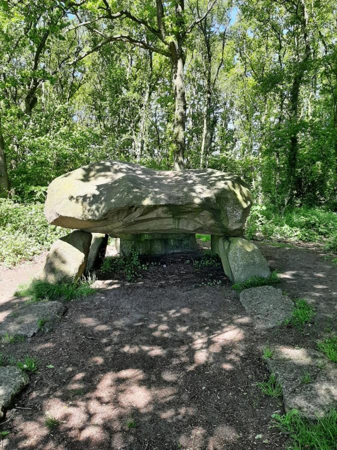 Camping Forest *