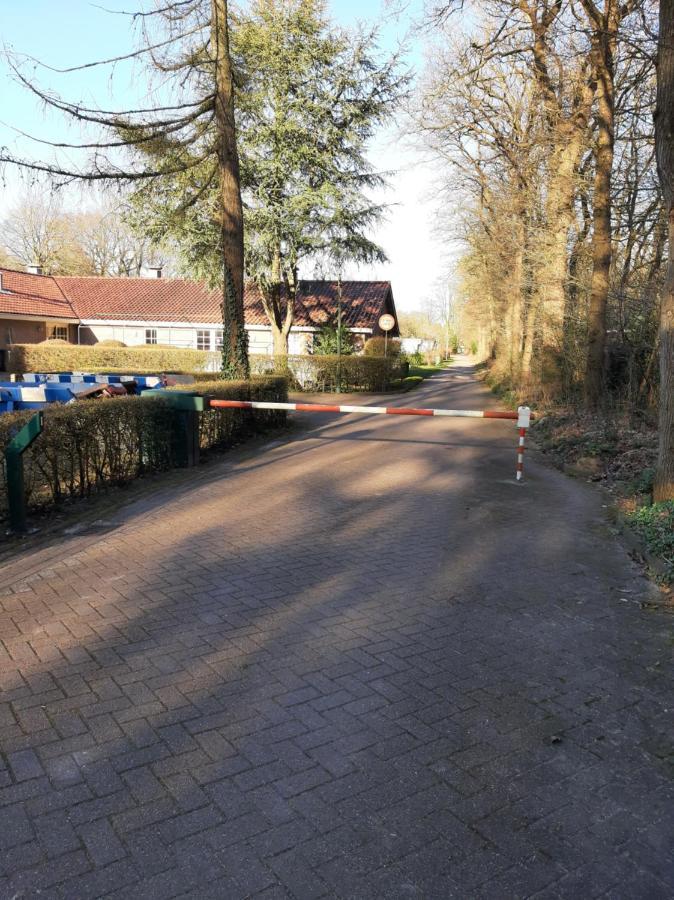 Forest Campsite Zuidlaren
